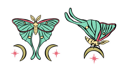 Teal luna moth with moons hand drawn illustrations set isolated on white background. Celestial butterfly design