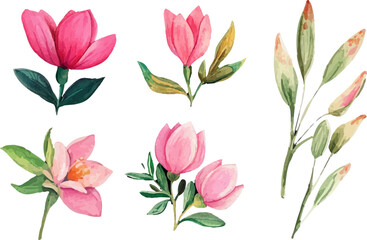 pattern with pink flowers