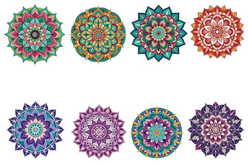 flower mandala pattern circle creative luxury orn vector