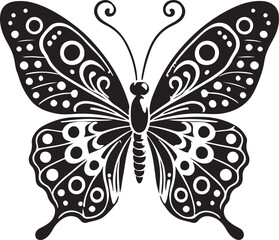 butterfly illustration