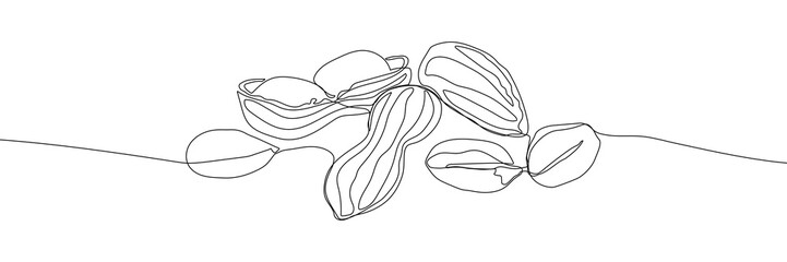 Peanut continuous line drawing vector illustration. Nut illustration. Peeled and unshelled peanuts