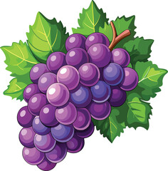 bunch of grapes isolated on white background