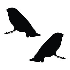 Bird Silhouette, Bird Vector Silhouette, Bird cartoon Silhouette, Bird illustration, Bird icon Silhouette, Bird Silhouette illustration