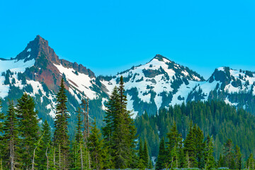 Paradise area at Mount Rainier National Park, Washington State, USA