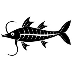 Lord howe island phasmid fish vector art illustration 