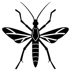 Lord howe island phasmid fish vector art illustration 