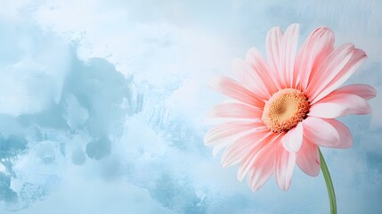 Pink flower blossom against a light blue background