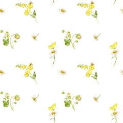 Seamless pattern with yellow meadow and wildflowers Tansy flowers