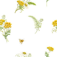 Seamless pattern with yellow meadow and wildflowers Tansy flowers