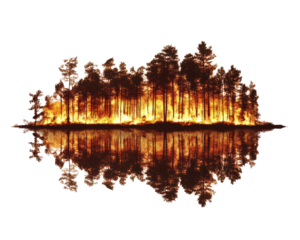 Burning forest with flames reflecting on water surface, dramatic natural disaster scene.