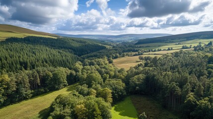 Obraz premium Lush green forest landscape under a bright sky with rolling hills and expansive valleys showcasing natural beauty and tranquility