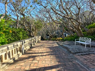 The beautiful walkway of brick with Frangipani tree without leaf beside at Phra Nakhon Khiri historical park.