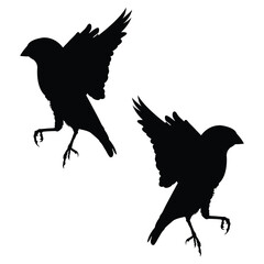 Birds Silhouette, Birds Vector Silhouette, Birds cartoon Silhouette, Birds illustration, Birds icon Silhouette, Birds Silhouette illustration