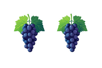 a bunch of grapes with leaves
