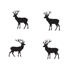 Silhouette of a deer 