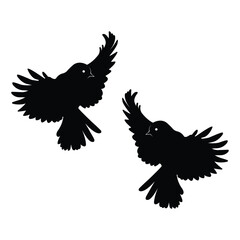 Birds Silhouette, Birds Vector Silhouette, Birds cartoon Silhouette, Birds illustration, Birds icon Silhouette, Birds Silhouette illustration