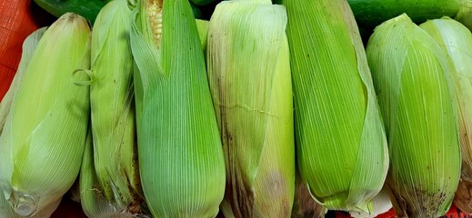 Stack of fresh corn unpeeled background for sale at traditional market