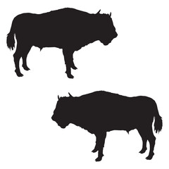 Bison Silhouette, Bison Vector Silhouette, Bison cartoon Silhouette, Bison illustration, Bison icon Silhouette, Bison Silhouette illustration
