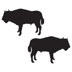 Bison Silhouette, Bison Vector Silhouette, Bison cartoon Silhouette, Bison illustration, Bison icon Silhouette, Bison Silhouette illustration