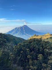 The majestic Mount Merapi with beautiful edelweiss flowers
