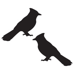 Obraz premium Bluejay Silhouette, Bluejay Vector Silhouette, Bluejay cartoon Silhouette, Bluejay illustration, Bluejay icon Silhouette, Bluejay Silhouette illustration