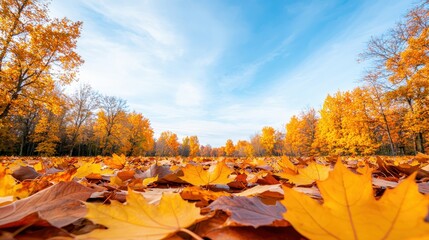 Vibrant Fall Celebration in Natures Beauty