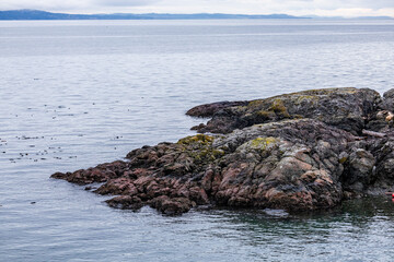 Rocky Coastal Scene Overlooking Calm Waters With Islands in the Distance