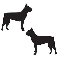 Boston Terriers Silhouette, Boston Terriers Vector Silhouette, Boston Terriers cartoon Silhouette, Boston Terriers illustration,  Terriers icon Silhouette, Boston Silhouette illustration