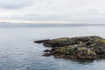 Rocky Coastal View of Quiet Ocean Under Cloudy Sky at Dawn