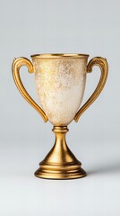 A close-up shot of a gleaming gold trophy against a muted gray backdrop. The trophy's design is classic and elegant, with subtle variations in the gold finish that add depth and texture.