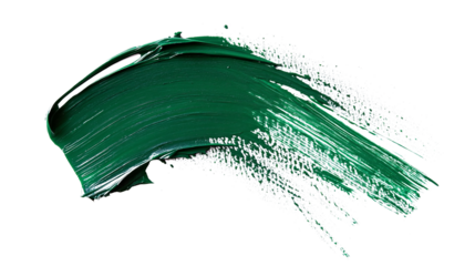 Brush stroke with green paint isolated on white & transparent a background.
