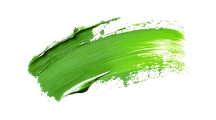 Brush stroke with green paint isolated on white & transparent a background.