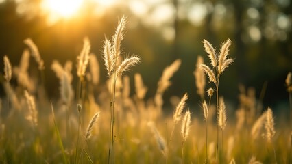 Art autumn sunny nature background