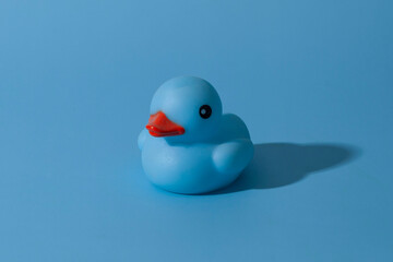 Blue rubber ducky on a blue background