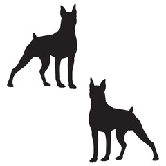 Boxer dog Silhouette, Boxer dog Vector Silhouette, Boxer dog cartoon Silhouette, Boxer dog illustration, dog icon Silhouette, Boxer dog Silhouette illustration