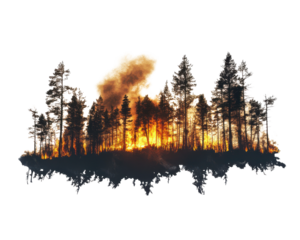 Forest fire with silhouette trees and smoke, isolated on white background