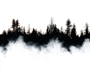 Silhouette of trees against a foggy backdrop, white isolated background.