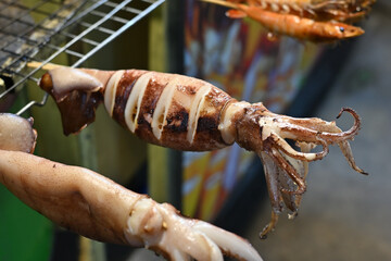 Grilled squids being displayed on grill grid	