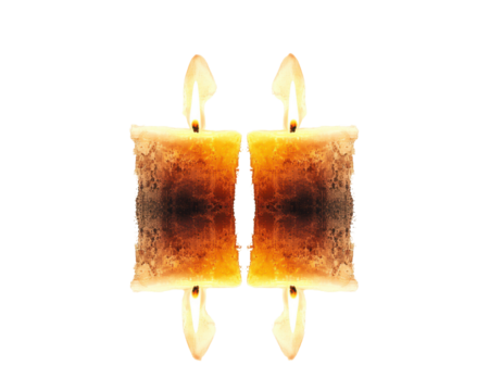 Abstract design featuring a symmetrical orange-brown shape on a white background.