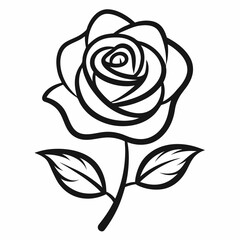 Rose flower vector with white backround