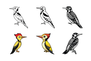 create an image of a yellow bellied sapsucker vector set