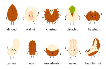 Cute set of happy nuts with names. Cartoon nuts isolated on white background.