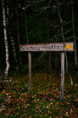 signposts in  dark forest in rainy day Norway