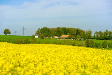 Fotobehang Rape field in spring with a church in the background, Germany © PeterPike