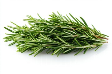 Fototapeta premium Fresh Rosemary Herbs on White Background for Culinary Use