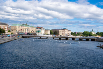 Stockholm archipelago in summer. Sweden