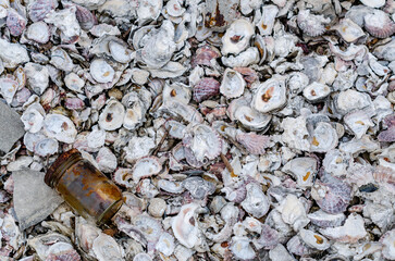 Textured surface of numerous oyster shells with glass bottle