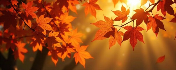 Fototapeta premium Backlit plane tree leaves in shades of gold and orange, orange hues, landscape photo