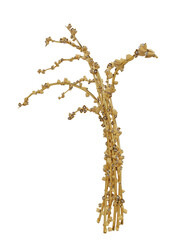 3D rendered golden flora isolated on transparent background