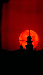 Obraz premium Old Wallpaper, silhouette. isolated with white highlights